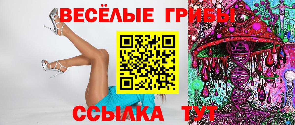 Киров  Псилоцибиновые грибы мицелий  Вход с VPN 