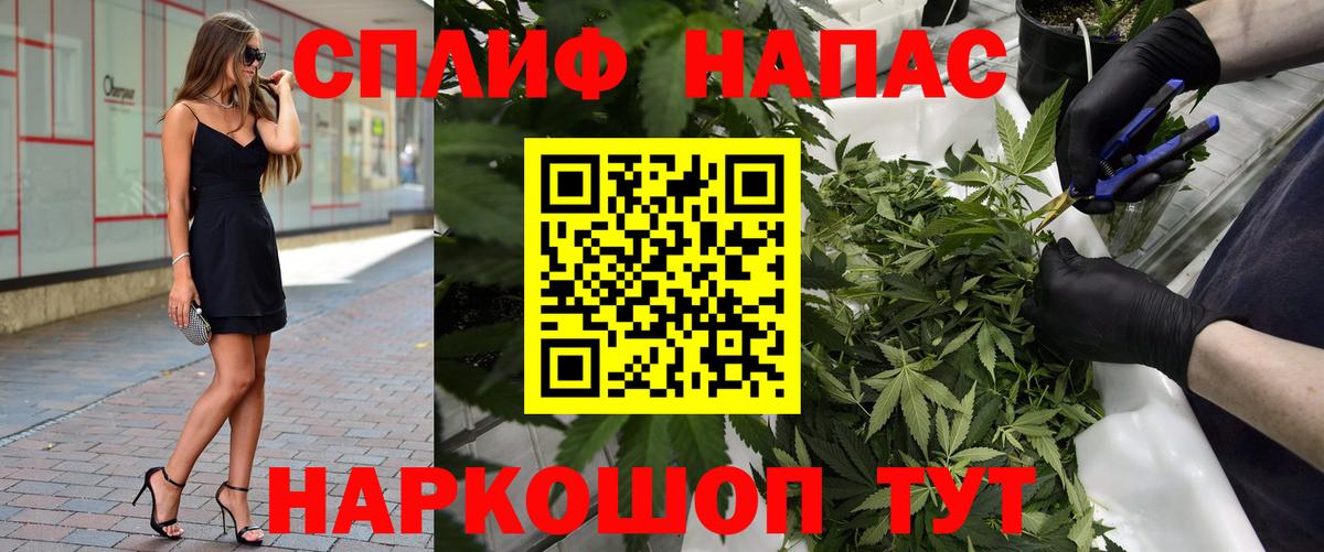 Конопля OG Kush  Канабис сатива  Шишки марихуана марихуана  Вход с VPN  Киров  МАРИХУАНА OG Kush 